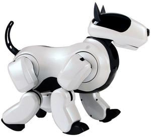 Genibo SD